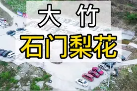 大竹县周家石门梨花，铜锣山深处的美景。视频封面