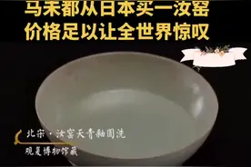 马未都从日本买一个汝窑让世界惊叹#马未都 #收藏 #鉴宝 #传统文化 #古董 #热门 @抖音短视频 视频封面