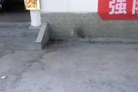 政府助力产业，补贴油菜肥料。#振兴乡村视频封面