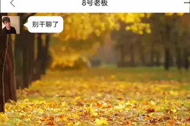 #创作灵感 #搞笑 #表情包 #搞笑聊天记录 爱我就转钱视频封面