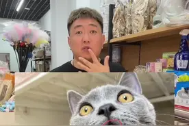#猫嗜酸性肉芽肿#嗜酸性肉芽肿 #猫口炎 来吧小伙伴，给我个关注。谢谢我的小伙伴