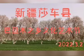 喀什地区莎车县云游巴旦姆花海节日精彩视频~贾俊德摄#万人说新疆喀什 #喀什美好推荐官 视频封面