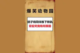 背后的原因到底是什么🤔#奇闻奇事 #要相信光 #诡异事件 #涨知识 #危险的她视频封面