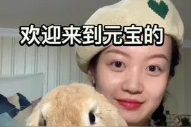 养兔人速看👉你们要的元宝用品大解析来了！今天是认真脸哈哈哈～都是我自己的养兔方法 不一定对…姐妹们挑好的学🤭#垂耳兔元宝 #我和宠物日常 #铲屎官的乐趣 #萌宠出道计划 #养兔 #养兔人