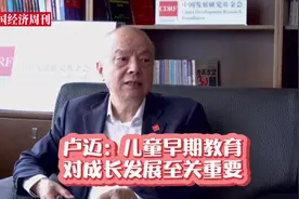 中国发展研究基金会副理事长卢迈视频封面