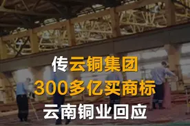 传云铜集团300多亿买商标 云南铜业回应 #中证传闻求证视频封面