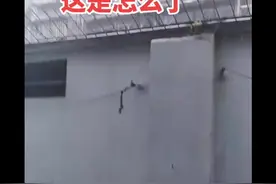 “人生如戏，戏如人生，很多事情，不是不懂，只是无奈，这就是生活，一万个为什么，也概括不了一句没什么。”#抖音小助手 #随心文案 #冰雹 @DOU+小助手 视频封面
