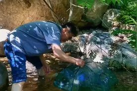 太行山深处有一种鱼，据说只能生长在冷水里，对水质要求特别高视频封面