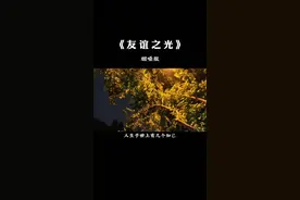 “人生于世上有几个知己，又有多少友谊能长存”#友谊之光 #粤语经典 #怀旧金曲 #烟嗓