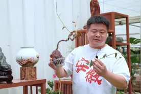 再来一个视频#来抖音学农技 #花卉绿植 #盆栽绿植 #水培植物视频封面