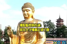 佛最高的境界就是静心，这是佛祖归零前，说过的一句话视频封面