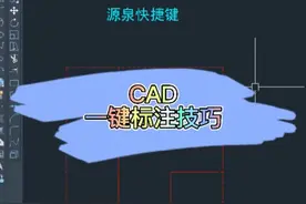 #cad #cad教程 cad一键标注技巧