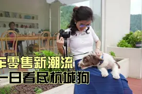 解读房车驾照新规，顺便带你看尽杭城狗。 轻型牵引挂车（C6视频封面