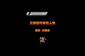 #悟饭游戏厅 #怀旧游戏 #三国战纪 两个黄忠你喜欢用哪个呢?视频封面