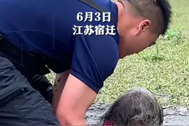 七旬老人走失三天后，警方发现她被困泥潭！消防员徒手挖泥三小时将老人救出。辛苦了！视频封面