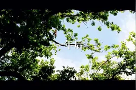 后来他们都有了很好的结局 只是我们还困在剧里#第二人生