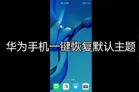 华为手机一键恢复默认主题#手机 #手机技巧 #华为手机 #玩机技巧视频封面