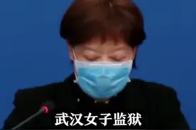 任何单位、任何人不得擅自前往湖北接人进京 否则纪法处理视频封面