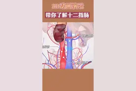 #胃肠内镜医生吴齐 人体消化系统离不开它？3D视频一分钟演示带大家了解#十二指肠 转发给身边有需要的人吧#健康最重要 #肠道健康 #抖音小助手视频封面