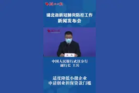 王兵：适度降低小微企业申请创业担保贷款门槛 #湖北发布会视频封面
