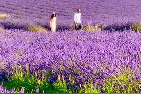 #多年陪伴抵不过偶遇，难道他比我更爱你……很现实也很无奈视频封面