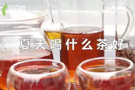 夏天可以多喝三类茶：1、绿茶，有生津止渴视频封面