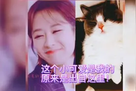 这个小可爱是我的！真的是有出处啊！原来是出自这里啊！#肖战视频封面