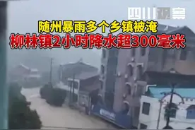 8月12日，湖北随州大部分地区遭遇暴雨，多地被淹，变成泽国。希望雨能早日停止！视频封面