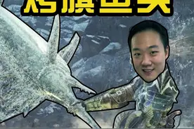 有枪反而不是金枪鱼？分解来试吃一下！#旗鱼 #金枪鱼 视频封面