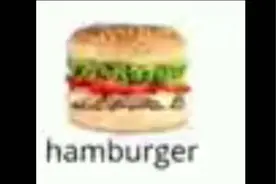 hamburger#沙雕#热门视频封面