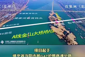 当枝松高速公路最新进展来了!#枝江 #最新消息 视频封面