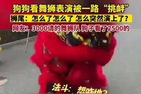 4月1日，福建，狗狗看舞狮表演被一路“挑衅”，狮尾：？？？怎么了怎么了怎么突然演上了？到了吗？ 网友：3000请的舞狮队，狗子看了2500😂 #舞狮 #狗狗 #这也太可爱了#可爱到爆炸💥 #原谅我不厚道的笑了