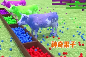儿童益智动画，奶牛吃了果子就变颜色了，看看都变了哪些颜色视频封面