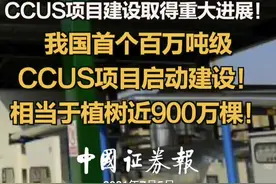 CCUS项目建设取得重大进展！我国首个百万吨级CCUS项目启动建设！相当于植树近900万棵！#中国石化 视频封面