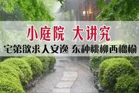 小庭院 大讲究，宅第欲求人安逸， 东种桃柳西榴榆……#苗木人#上热门 #干货分享 @DouDream视频封面