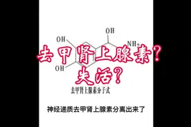 去甲肾上腺素的失活视频封面