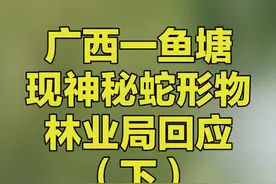 广西一鱼塘现神秘蛇形物，村民：是两条10米长巨蟒！一周后林业局到场揭开真相！网友直呼：不可思议！视频封面