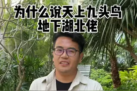 为什么把湖北人称作九头鸟呢？真的是在讽刺湖北人吗？看完这个视频你就明白了#导游来了 #湖北人 #湖北 #九头鸟