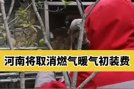 太赞了！#河南将取消天然气暖气初装费 视频封面