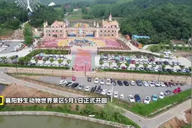 襄阳野生动物世界五月一日正式开园，你体验了吗？视频封面