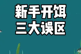 新手开饵三大误区，你中了几个呢？#钓鱼 #钓鱼技巧 #野钓视频封面