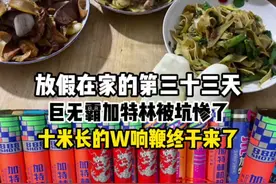 这加特林太坑了，里面全是泡沫盒子！还有十米长的W响鞭终于来了#青氏vlog视频封面