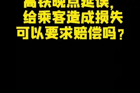 高铁延误晚点到达目的地，给乘客造成损失，要不要赔偿？#高铁 #违约 #运输合同纠纷 #列车晚点 #飞机晚点 @樊家💋叁小姐（拒私聊）视频封面