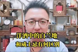 洋酒中白兰地和威士忌有什么区别#涨知识 #知识分享 #白兰地视频封面