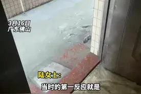 女子午睡醒来发现路面被水泥铺满，赤脚提鞋踏出：当时看到都不知道怎么办了视频封面