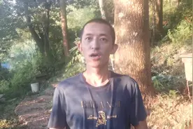 养蜂如何争取国家扶持？会有哪些方式？一起来学习吧#天然蜂蜜