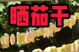 这样做的茄子干可以吃四季，炒 煮 顿 凉拌，咋吃都得劲#河南#农村美食 #茄子干@DOU+小助手 @抖音短视频 视频封面