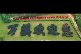 #乡村振兴 昆明呈贡万溪冲：梨花开放这十年视频封面
