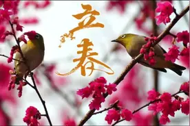 立春节气是虎年的开始，一起迎接春天的到来！#传统节日视频封面