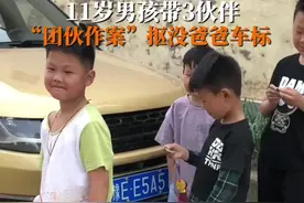 实力坑爹！#11岁男孩带3伙伴抠掉爸爸车标，当事人回应：儿子带的头，生气又不能凶孩子视频封面